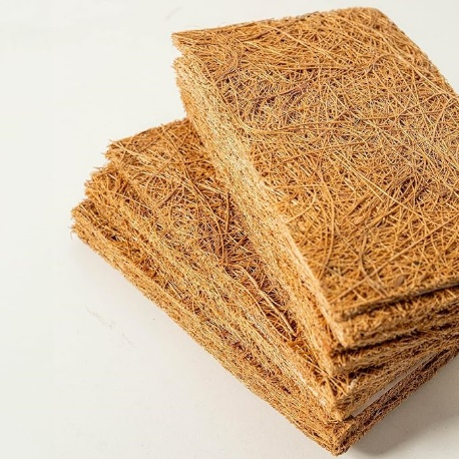 Home Care – Clean Up